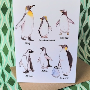 Tarjeta Pingüino A6