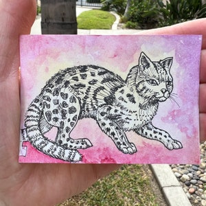 Tabby Katze Aquarell Künstler Sammelkarte
