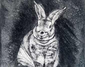 wild rabbit art rabbit print limited edition signed hand printed intaglio etching plate wildlife artwork affordable print color wall decor