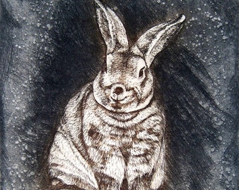 wild bunny art bunny print limited edition signed hand printed intaglio etching plate wildlife artwork affordable print color interior decor