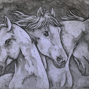May include: A grayscale artwork featuring three horse heads in profile. The horses' manes flow, and their features are detailed with shading. The background is a textured, dark gray, creating a contrast with the lighter horses.