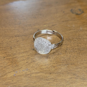 Lake Erie Beach Glass Ring: Adjustable Nickel-Free Iron Band