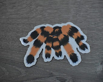 The “spiders aren’t THAT scary” sticker
