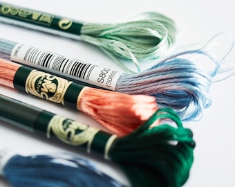 May include: Four spools of embroidery floss in shades of green, blue, pink, and light blue. The spools are labeled with the DMC number and the color name.