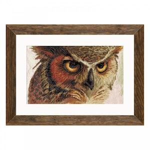 Cross stitch kit Eagle owl cross stitch pattern bird needlework kit owl embroidery kit animal cross stitch designs modern Nova Sloboda