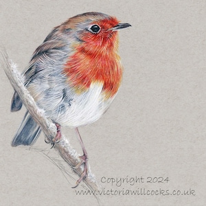 Robin met kraftbruine envelop