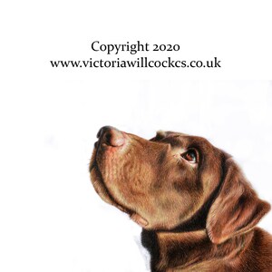 Carte Labrador Retriever chocolat, avec enveloppe kraft brune