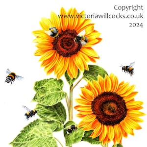 Tournesols et bourdons, avec enveloppe kraft brune