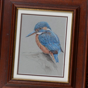 Kingfisher Colour Pencil Framed Original 10x8inch