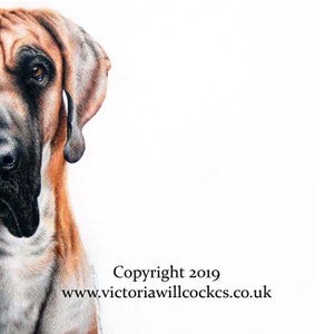 Great Dane Dog Card, with kraft brown envelope