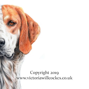 Foxhound Dog-kaart, met kraftbruine envelop