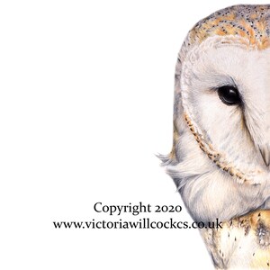 May include: A close-up of a barn owl's face, with its large, round eyes and feathery white and brown plumage. The owl's face is partially obscured by the edge of the image, creating a sense of mystery.