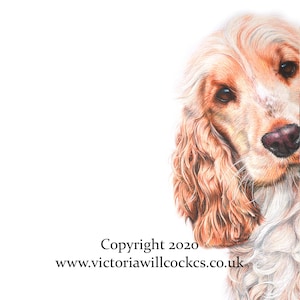 Mostra la carta "Hetty" del Cocker Spaniel dorato, con busta bianca