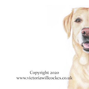 Carte jaune labrador retriever, avec enveloppe kraft brune