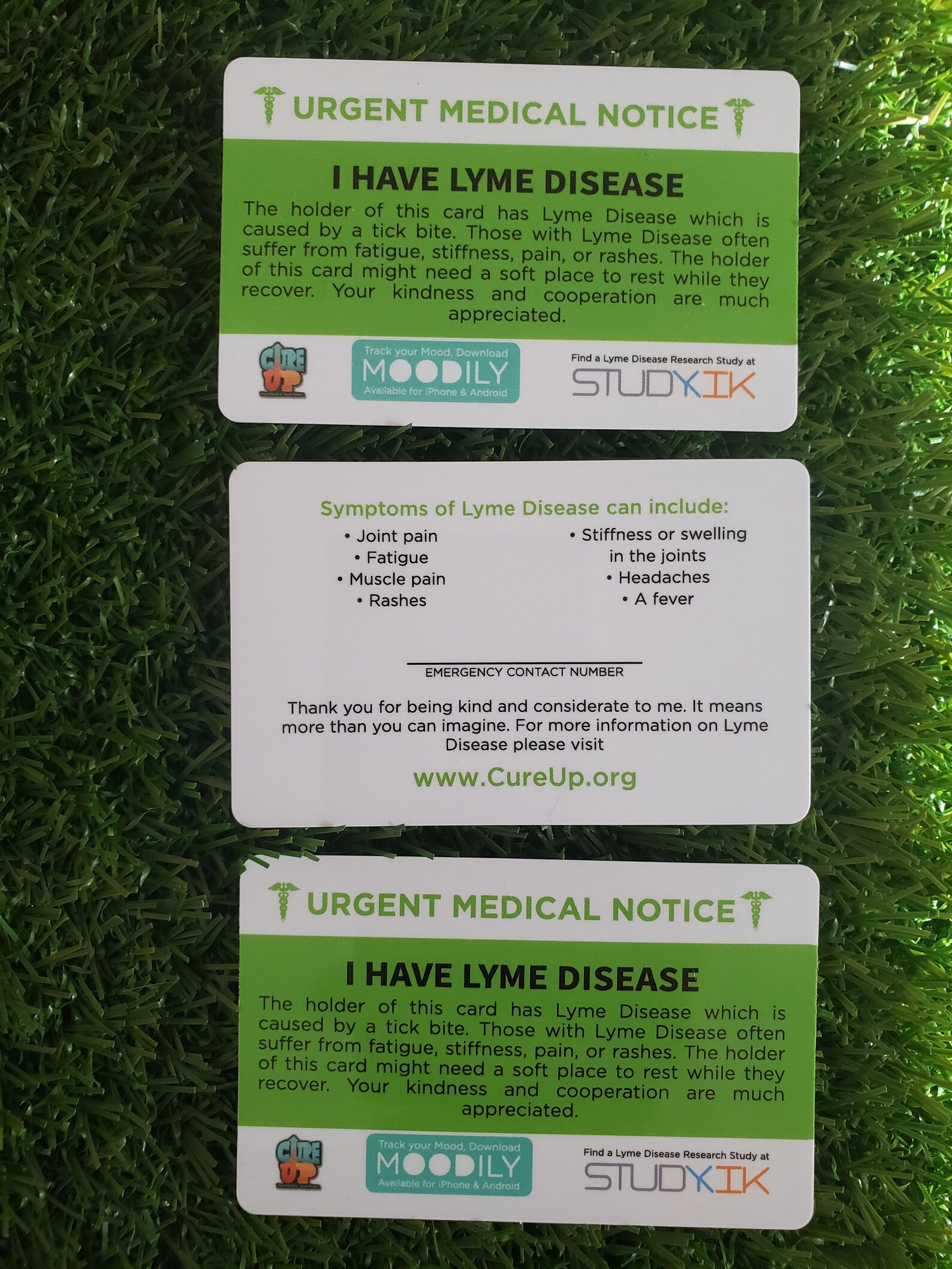 Lyme Disease Disorder Card Lyme Disease Emergency Card Lyme Etsy