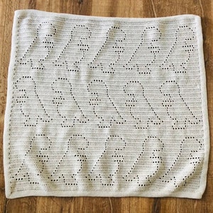 Dinosaur Blanket