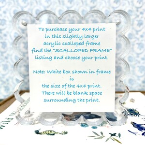 Scallop Acrylic Framed Coastal Prints