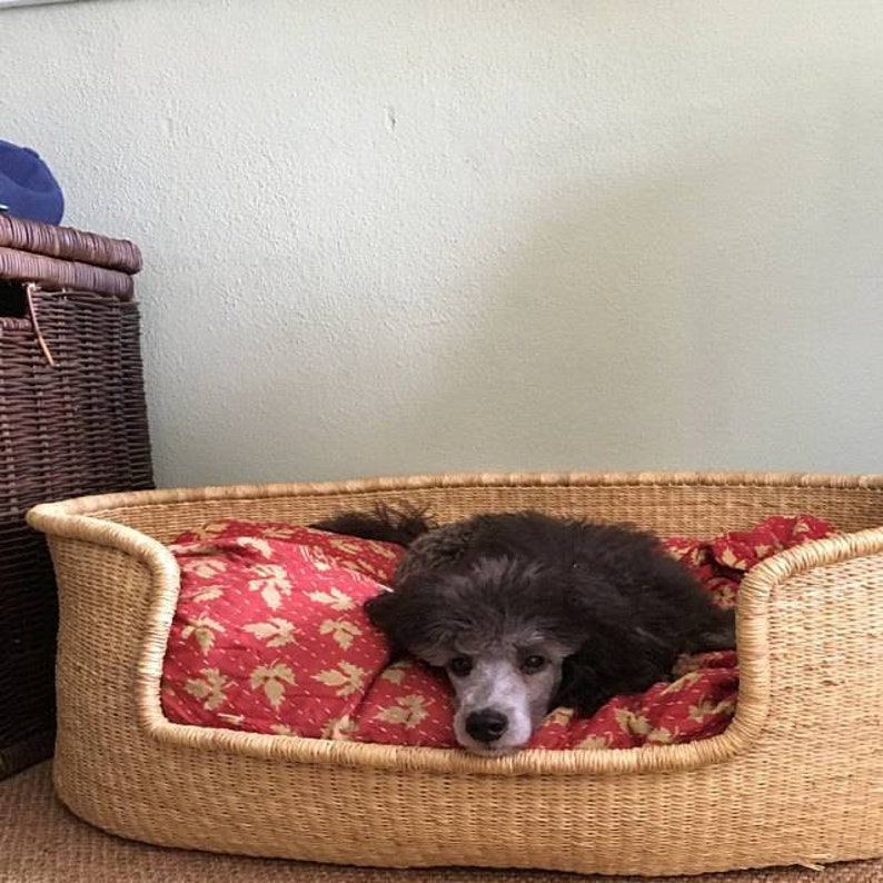 Modern dog bed Large dog bed Etsy