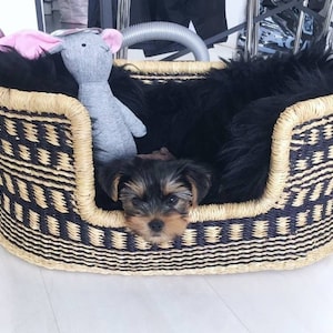 Custom Dog Bed for Large Dogs - Unique and Modern Dog Crate Furniture, Stylish Pet Bed, Modern Dog House, African Basket, Bolga Basket