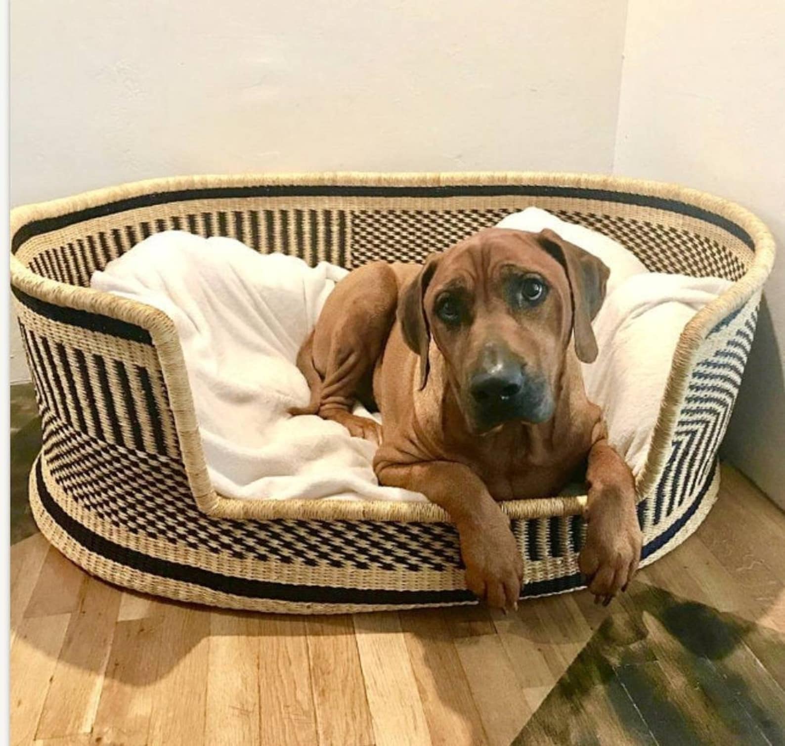 PERSONALIZED DOG BASKET Dog Bed Basket Dog Bed Furniture Etsy