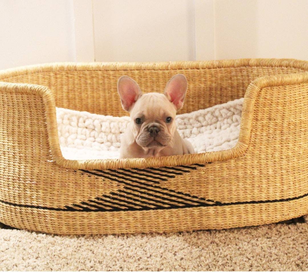 DOG BASKET BED Personalized Pet Bed Dog Gift Basket Toy Etsy