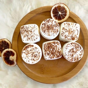 Citrus Shower Steamers | Energizing Aromatherapy Shower Melts | Zesty Energy Self Care Gift | Handmade Shower Bombs