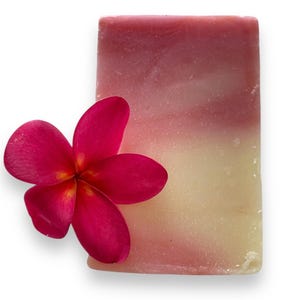 Handmade Plumeria Soap Bar: Cold Process Shea Butter Soap, Floral Scent