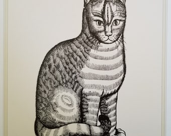 Famosa stampa gatto Edward Topsell "Illustrazione dalla storia delle bestie a quattro piedi" Pagina del piatto del libro di illustrazioni di belle arti