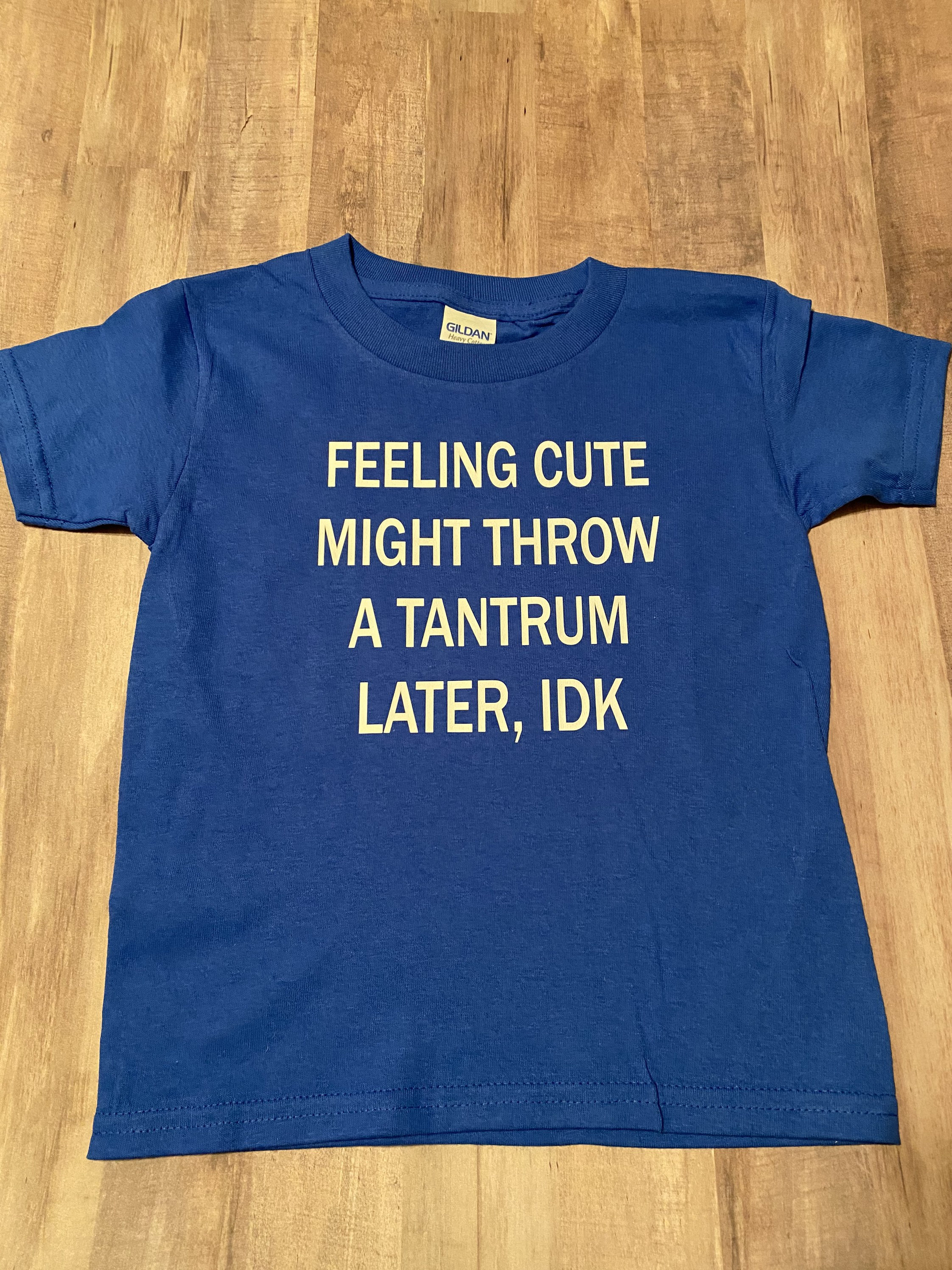 Feeling Cute Might Have A Tantrum Later Idk T-Shirt Feeling Cute Might Have A Tantrum Later Idk T-Shirt