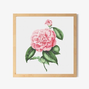 Gráfico de ponto cruz de camélia rosa em PDF, padrão de ponto cruz digital, decoração para casa emoldurada, ponto cruz contado