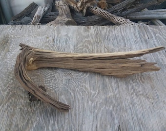 Neat Arizona Desert Driftwood,