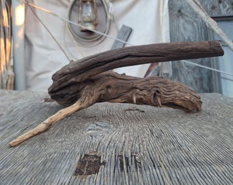 Arizona Desert Driftwood,