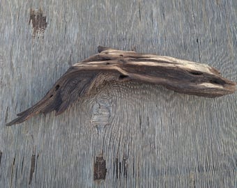 Arizona Desert Driftwood,