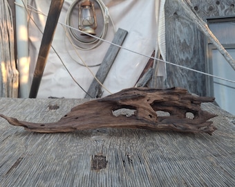 Arizona Desert Driftwood,