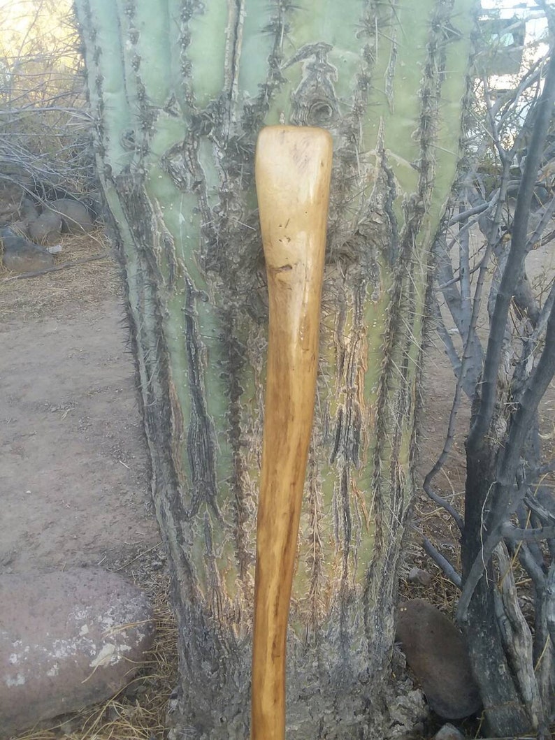 Saguaro cactus wood walking stick/cane. | Etsy