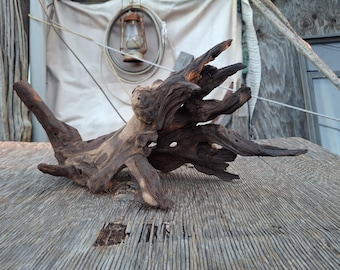 Arizona Desert Driftwood,