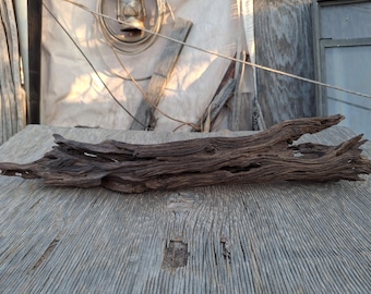 Arizona Desert Driftwood,