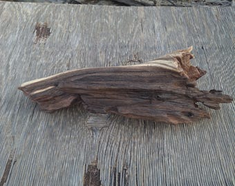 Arizona Desert Driftwood,