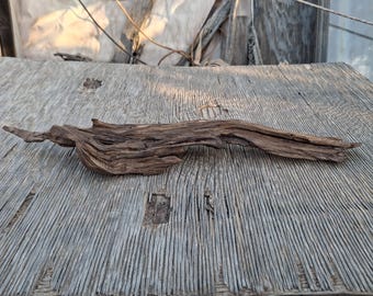 Arizona Desert Driftwood,