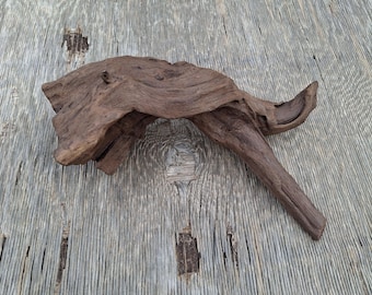 Arizona Desert Driftwood,