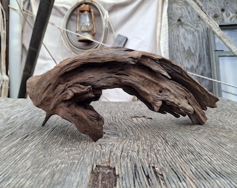 Arizona Desert Driftwood,