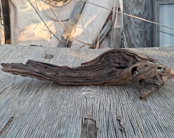 Arizona Desert Driftwood,