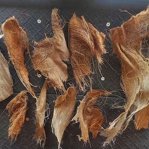 May include: Close-up of several pieces of brown coconut husk fiber, also known as coir, on a black textured surface.