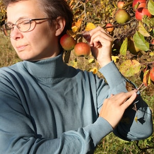 Merinowolle Rollkragenpullover: Warmer Damen Strickpullover