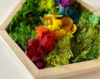 Moss Wall Art - floral decor - moss frame - preserved moss - custom art - dried flowers - natural wall art - rainbow art - dried flowers