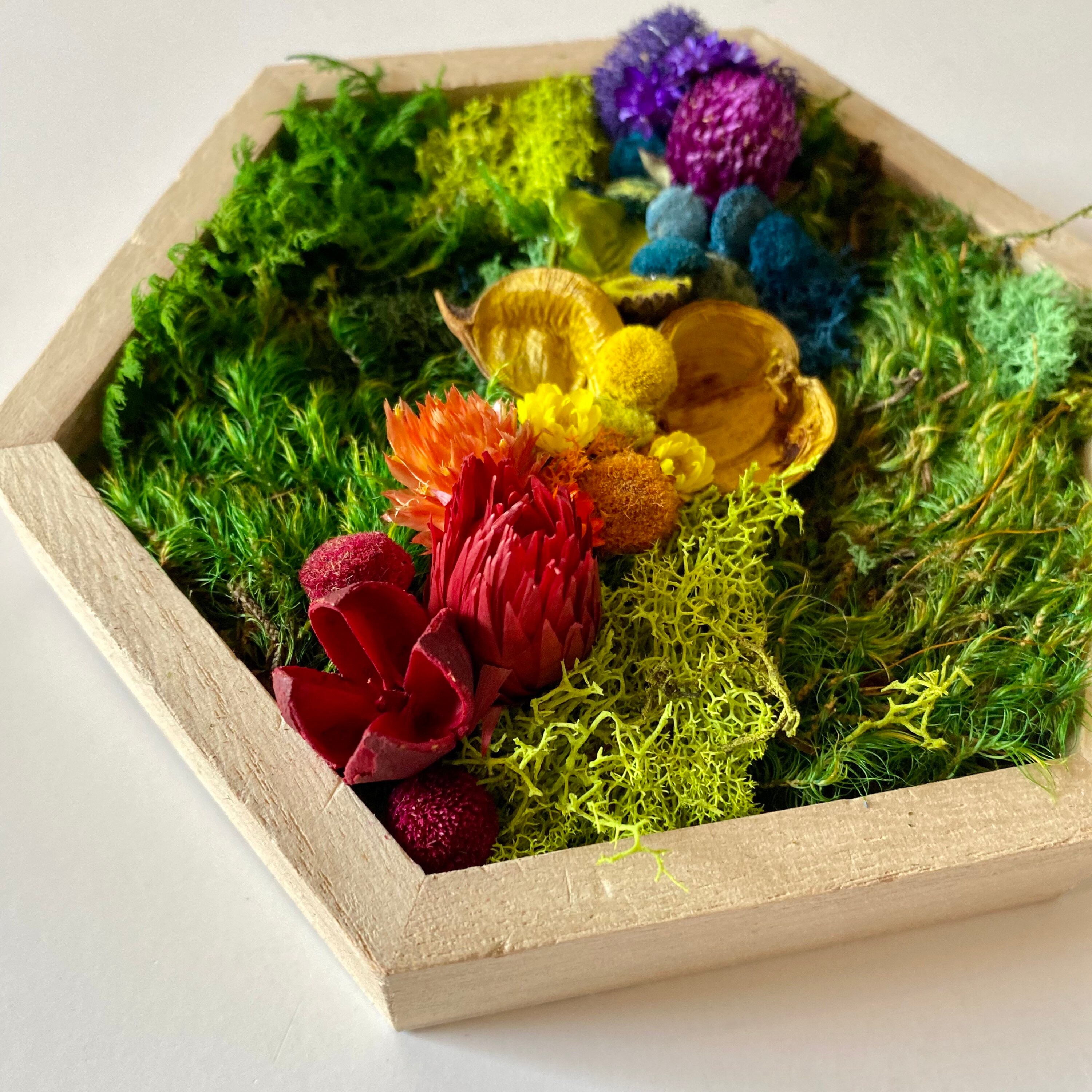 Moss Art Set Adult Art and Crafts Youth DIY Handmade Dried Flowes Set  Women's Hobbies Wedding Craftsman Gift Artificial Flowers