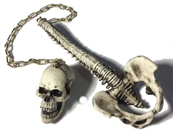 May include: A skeletal human pelvis and spine with a skull attached to a gold chain. The skull is facing forward with an open mouth and visible teeth. The pelvis and spine are connected to the skull by the chain.