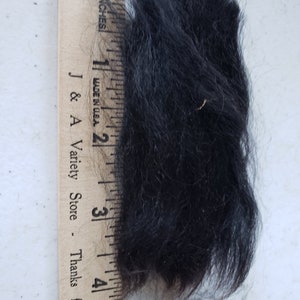 Op de afbeelding: Een close-up van een klomp zwarte dierenvacht, gemeten tegen een houten liniaal met inches gemarkeerd. De vacht is ongeveer 7,6 cm lang.