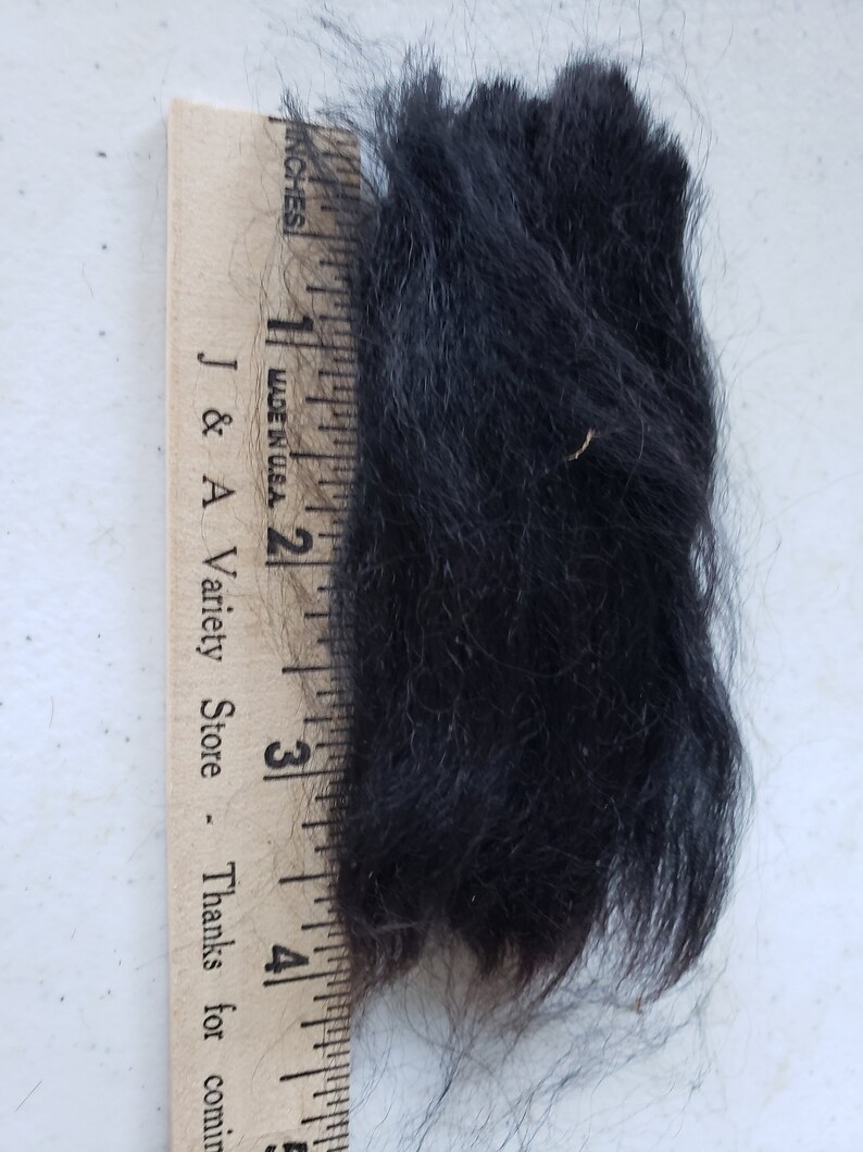 Op de afbeelding: Een close-up van een klomp zwarte dierenvacht, gemeten tegen een houten liniaal met inches gemarkeerd. De vacht is ongeveer 7,6 cm lang.
