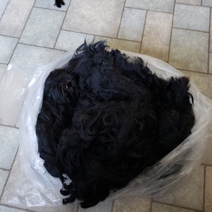 Op de afbeelding: Een grote plastic zak gevuld met een hoop zwart hondenhaar.